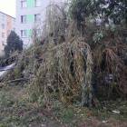 zdjęcie nr 27
