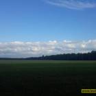 Fotka nr 1 z 23