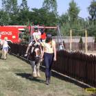 zdjęcie nr 7