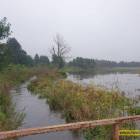 Fotka nr 5 z 13