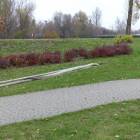 zdjęcie nr 9
