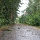 zdjęcie nr 16