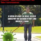 zdjęcie nr 8