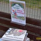 zdjęcie nr 12