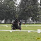 Fotka nr 4 z 40
