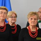 zdjęcie nr 