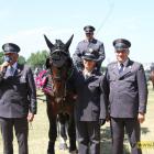 zdjęcie nr 155
