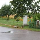 Fotka nr 1 z 16