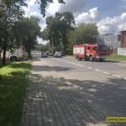 Fotka nr 4 z 5