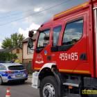 Fotka nr 5 z 6