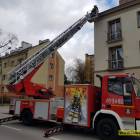 Fotka nr 2 z 17