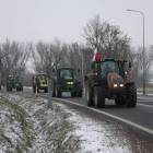 zdjęcie nr 9