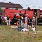 zdjęcie nr 77