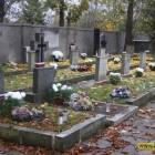 zdjęcie nr 7