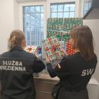 Fotka nr 5 z 6