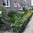 zdjęcie nr 8