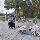 zdjęcie nr 13