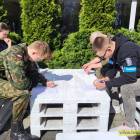 Fotka nr 2 z 42