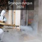 zdjęcie nr 14