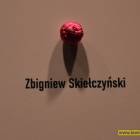 zdjęcie nr 16