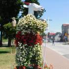 zdjęcie nr 16