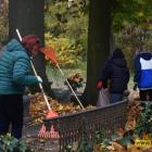 zdjęcie nr 42