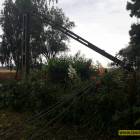 Fotka nr 1 z 28