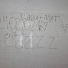 Fotka nr 2 z 6
