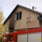 Fotka nr 5 z 10