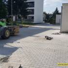 zdjęcie nr 8