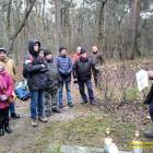 zdjęcie nr 16