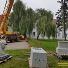 zdjęcie nr 8