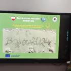 zdjęcie nr 11