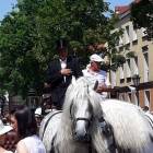 zdjęcie nr 9