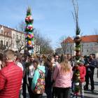 zdjęcie nr 12