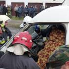 zdjęcie nr 147