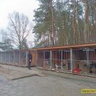 zdjęcie nr 8