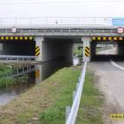 Fotka nr 4 z 11