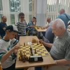 zdjęcie nr 12