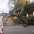 Fotka nr 5 z 6