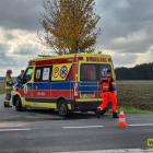 Fotka nr 5 z 10