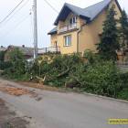 zdjęcie nr 20