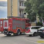 Fotka nr 1 z 12