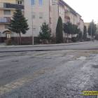 zdjęcie nr 8