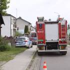Fotka nr 1 z 7