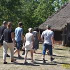 zdjęcie nr 19