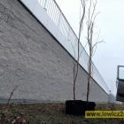 Fotka nr 5 z 14