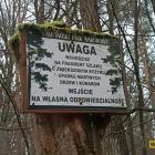 zdjęcie nr 19