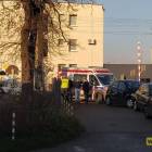 Fotka nr 2 z 4