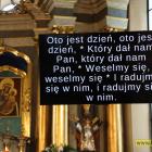 zdjęcie nr 14